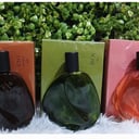 Foto de Ekos rko vivo, chuva y festa 