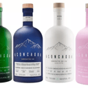 Foto de ACONCAGUA 