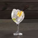 Foto de GIN TONIC