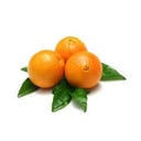 Foto de Naranja ombligo
