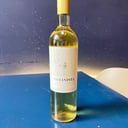 Foto de EL VIOLINISTA Sauvignon Blanc 2023