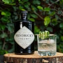Foto de Hendricks (Shot 60ml)