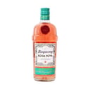 Foto de Gin Tanqueray Bossa Nova