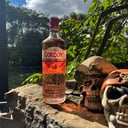 Foto de GORDON'S PREMIUM PINK