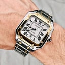 Foto de CARTIER SANTOS 17