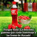 Foto de GASEOSA YUNGAY KOLA