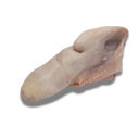 Foto de Lengua al vacío