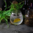 Foto de Gin tonic