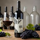 Foto de Cu4tro monos locos