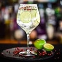 Foto de GIN CON GIN