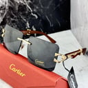 Foto de GAFAS CARTIER CW83