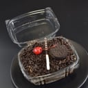 Foto de Genovesa de chocolate