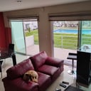 Foto de TERRAZA