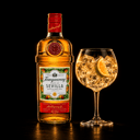 Foto de Gin Tonic Tanqueray Sevilla