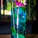 Foto de MOJITO ESPECIAL