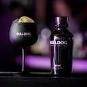 Foto de Gin Bulldog