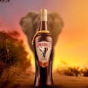 Foto de AMARULA