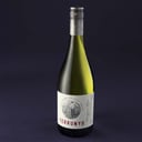 Foto de Terrunyo - Sauvignon Blanc
