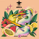 Foto de Grulla · Catharina Sour