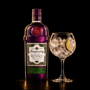 Foto de Gin Tonic con Tanqueray Royale