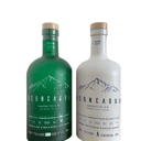 Foto de Aconcagua verde y blanco