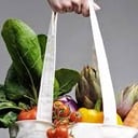 Foto de Espinaca, papas, choclo, zanahoria, zapallitos, calabaza, cebolla, brócoli, morron rojo,berenjenas