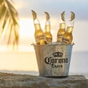 Foto de Corona Bucket