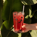 Foto de Limonada de frutos rojos, té verde y miel