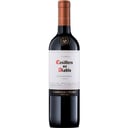 Foto de Carmenere - Casillero del Diablo