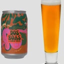 Foto de Kombucha Lupulada Estilo IPA