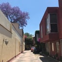 Foto de Áreas comunes 