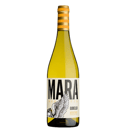 Foto de Mara Martín Godello