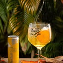 Foto de Tropical Gin 