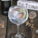 Foto de GINTONIC BULLDOG