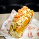 Foto de PERRO CAMARONERO