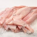 Foto de Pollo de Mar