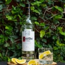 Foto de Ketel one (Shot 60ml)