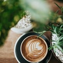 Foto de Mocaccino