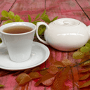 Foto de TÉ DESLUMBRA