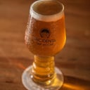 Foto de OKCIDENTA 449 | AMERICAN IPA