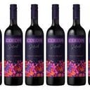 Foto de colon selecto botella