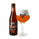 Foto de BUSH CARACTERE 12%