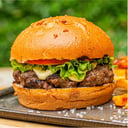 Foto de Hamburguesa Sencilla
