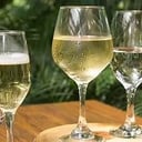 Foto de Vino x Copa (Blanco)