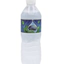 Foto de Agua 500ml