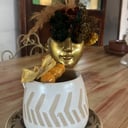 Foto de Infusión Con Viche 