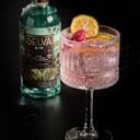 Foto de Gin Selva Trago