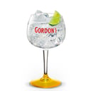 Foto de Gin Tónic