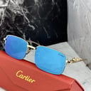 Foto de GAFAS CARTIER CT6