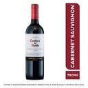Foto de VINO CASILLERO DEL DIABLO